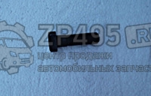 : 6501404 0014649     /   31105 . (, ,,,,, , NEXT, NEXT) ijevsk.zp495.ru